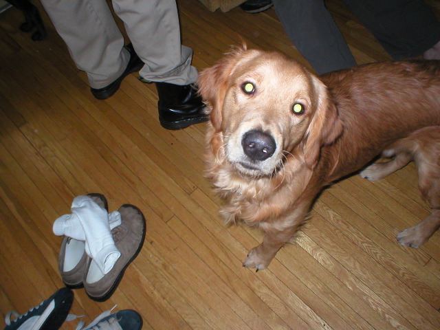 man, that shit was BANANAS!