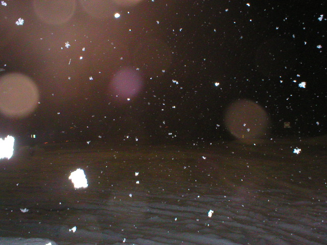 this is why we were at dunkin' donuts for so long.